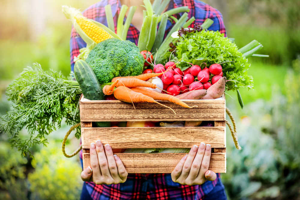 Farmer holding crate of vegetables (Sustainable Agriculture)