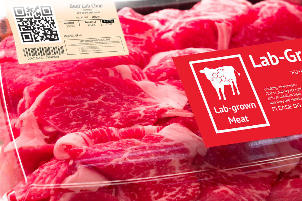 Lab Grown Meat